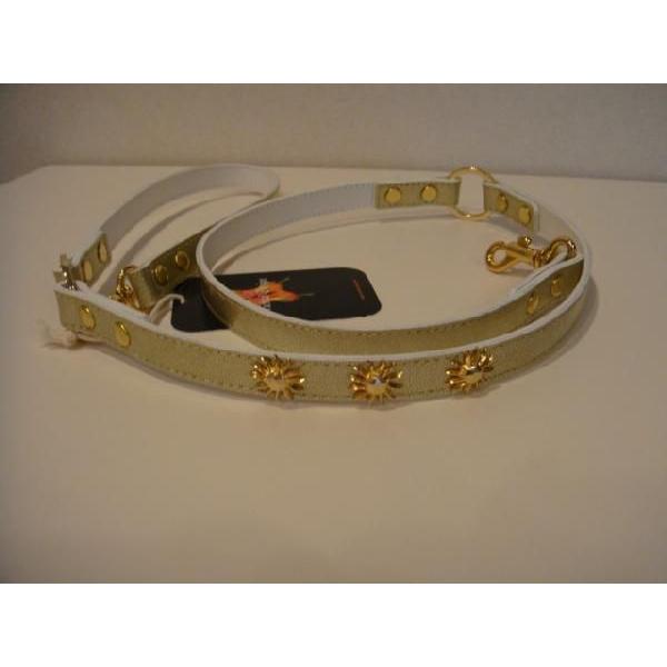 ムーンスター　リード　Ｍサイズ