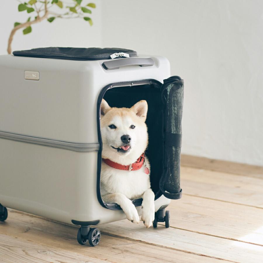 ペチコ ico イコ 3001-L Sky Blue PETico ペチコ ペットキャリー 3001-L スカイブルー(- スカイ