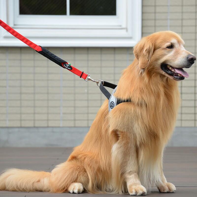 トレポンティ ダブル セーフティ ハンドル リーシュ TRE PONTI DOUBLE SAFETY HANDLE LEASH 65cm リード ltp303 イタリア製 大型犬 中型犬 ペット用品｜touzaiyamakaban｜03