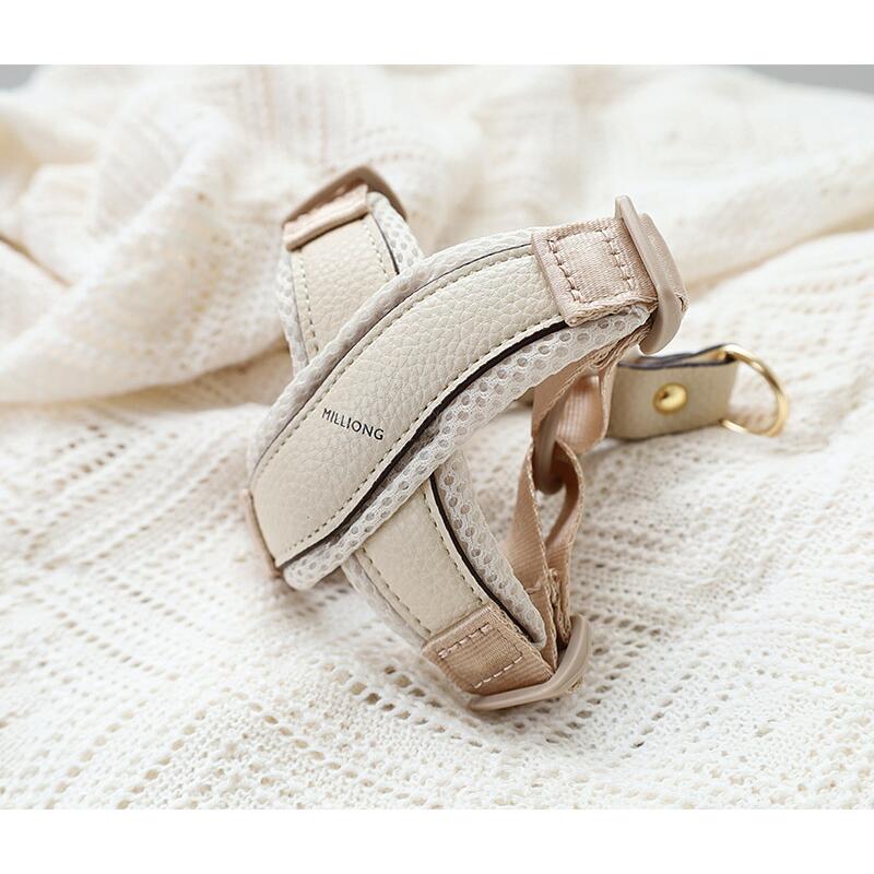 小物 mghyun GEX メダカ元気バイオエアー丸型20（4972547033710）｜その他