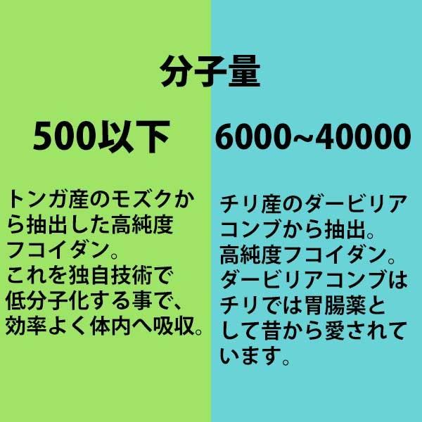 シーフコイダンDX900ml×2本セット|ホリウチフコイダン|無添加 シーフコイダンDX900ml×2本セット|ホリウチフコイダン|無添加
