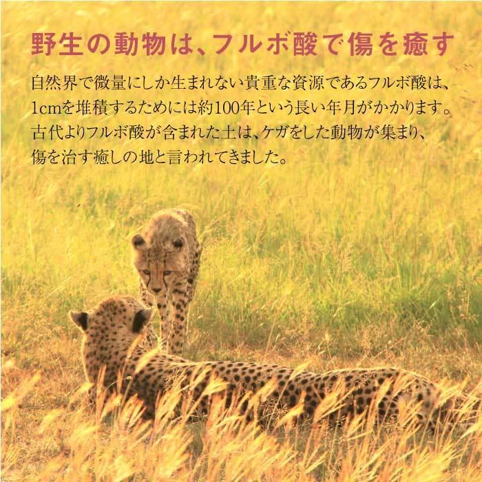 未開封 YOSA フーミン 1セット 賞味期限：2026年7月 フミン酸 フルボ酸含有食品 HUMINE 健康 オーゾラ ITHYW7JLQKLK-YR-S00-byebye YOSA フミン酸・フルボ酸含有食品 フェムフーミン - メルカリ