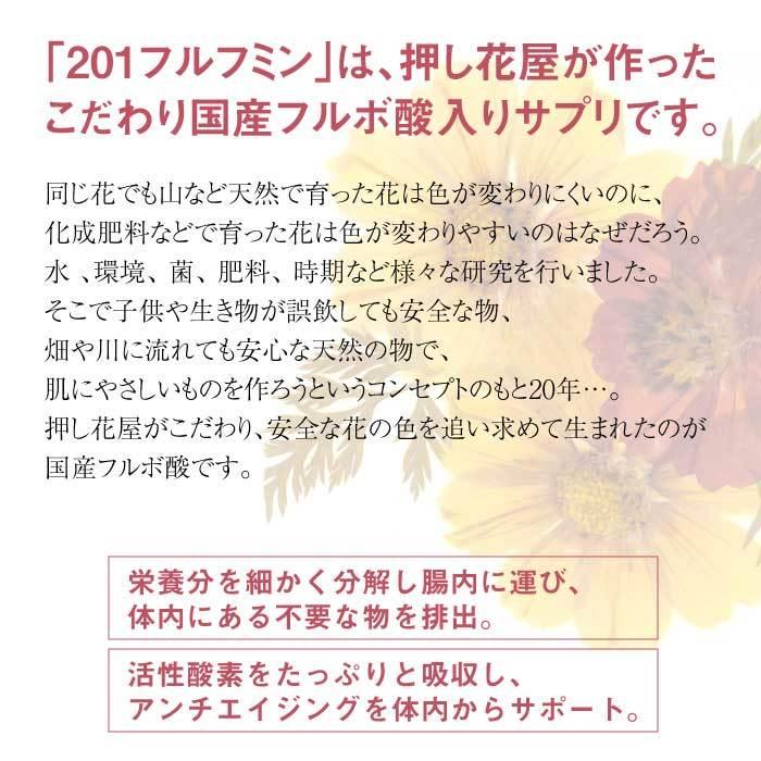 201 Furufumin 300ml×1本 (201フルフミン)|無添加|天然由来 201 Furufumin 300ml×1本 (201フルフミン)|無添加|天然由来