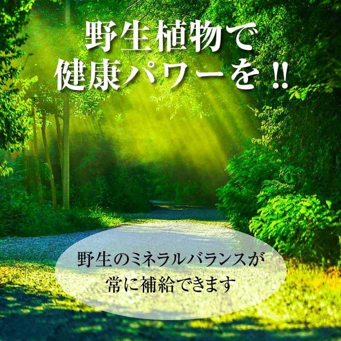 激安単価で ハイパワーマグマン 15％水溶液 110ｇ ※中山栄基先生の野生