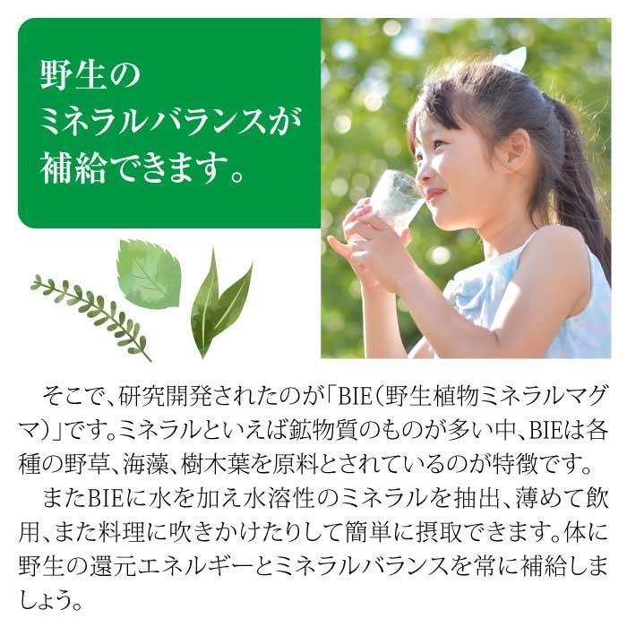 ハイパワーマグマン50g BIE野生植物ミネラルマグマン｜超濃縮液｜水溶性ミネラル｜植物性ミネラルの画像