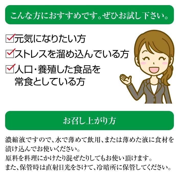 ハイパワーマグマン110g BIE野生植物ミネラルマグマン｜超濃縮液｜水溶性ミネラル｜植物性ミネラルの画像