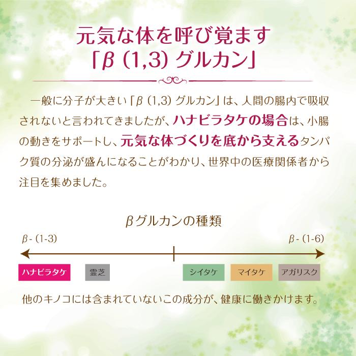 ハナビラタケX5 1箱 ( 120カプセル ) Biomax Premium 乳酸菌 ハナビラタケX5 1箱 ( 120カプセル ) Biomax Premium 乳酸菌
