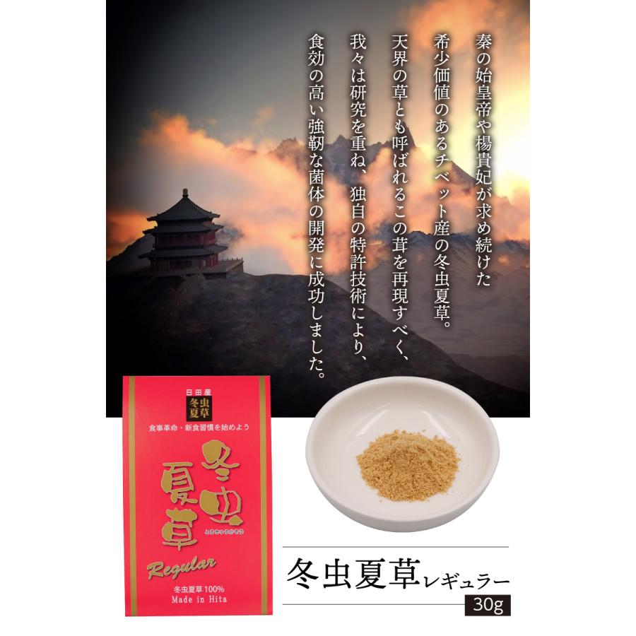 冬虫夏草 【レギュラー 30g×1袋】 大分県日田産 国産 特許取得 漢方 子