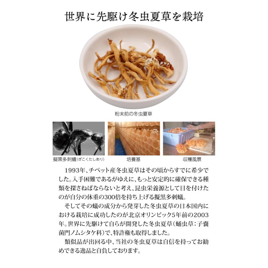 冬虫夏草　値下げ可能になりました！ かなり珍しい！？冬虫夏草 【奥入瀬 25/8/4】｜奥入瀬日和@星野