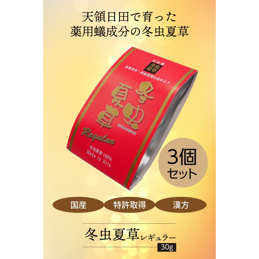 冬虫夏草 【レギュラー 30g×3袋】 大分県日田産 国産 特許取得