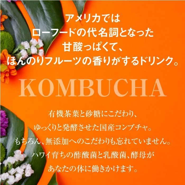 ferment works KOMBUCHA classic 720ml×1本 【国産無添加クラフト