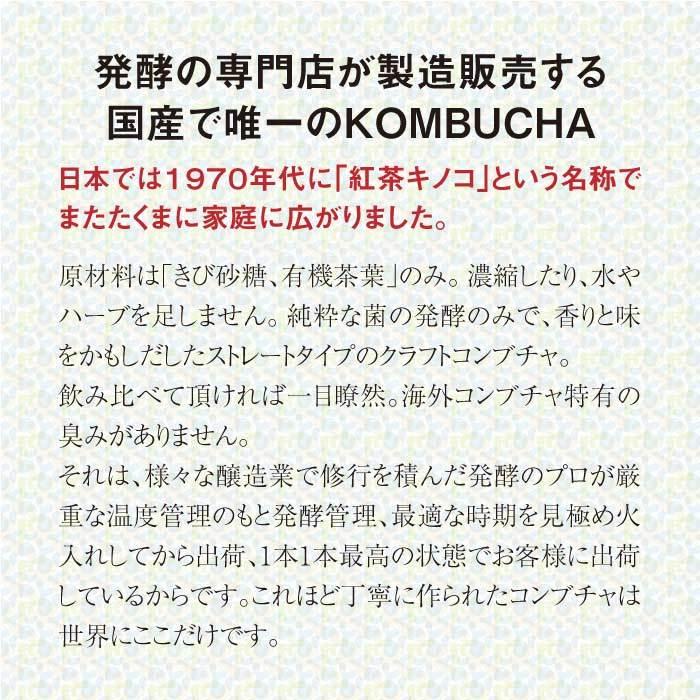ferment works KOMBUCHA classic 720ml×1本 【国産無添加クラフト