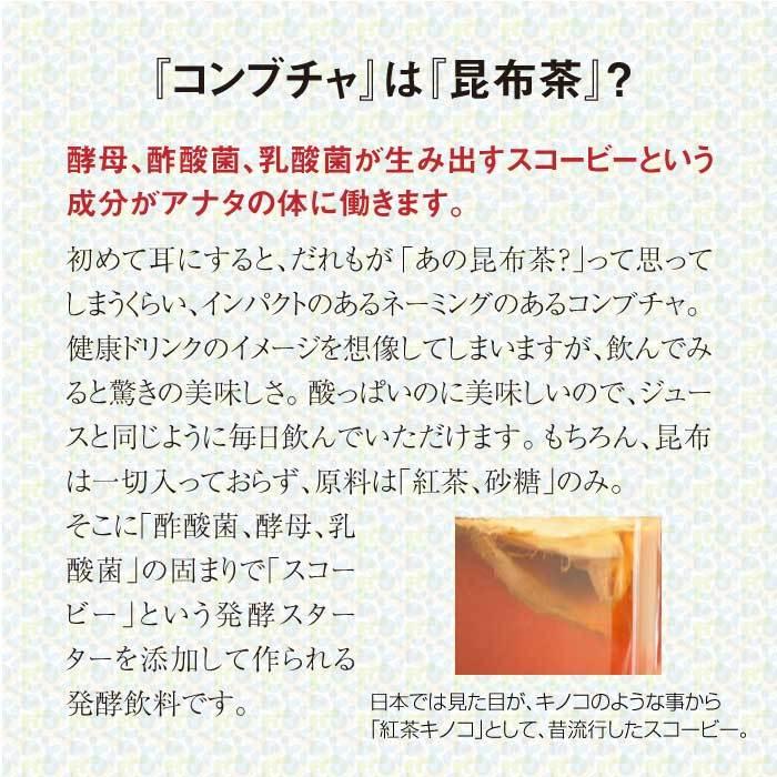 ferment works KOMBUCHA classic 720ml×1本 【国産無添加クラフト