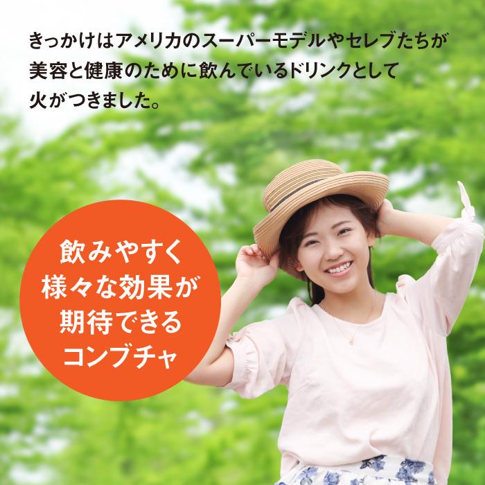 ferment works KOMBUCHA classic 720ml×1本 【国産無添加クラフト
