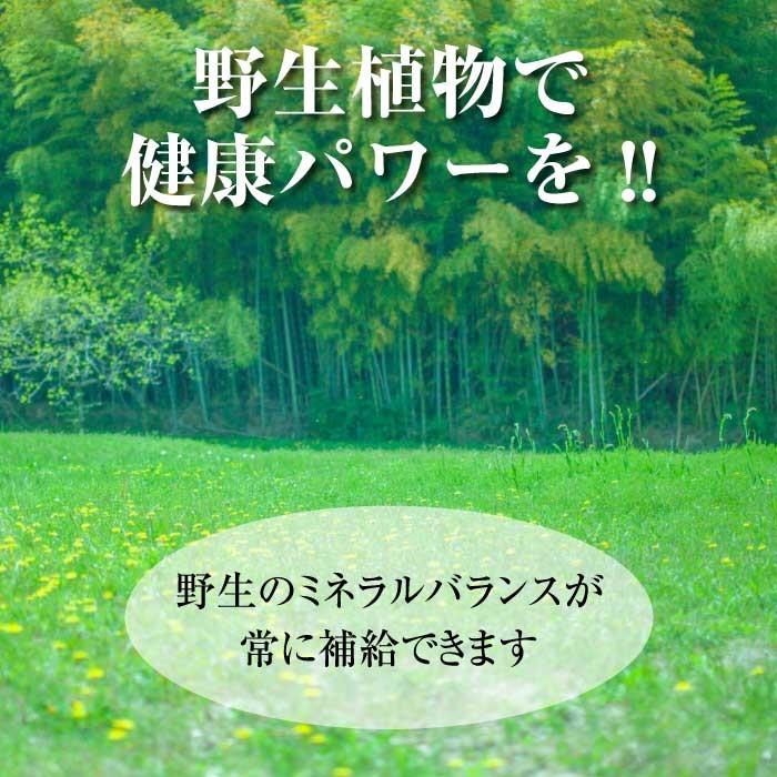 マグマンE50g（約165粒）BIE野生植物ミネラルマグマン｜タブレット