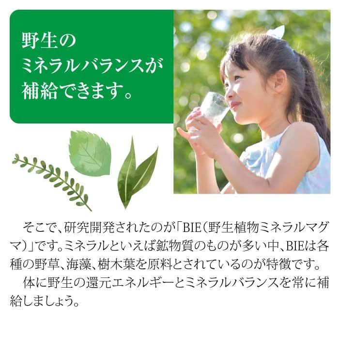 マグマンE50g（約165粒）BIE野生植物ミネラルマグマン｜タブレット