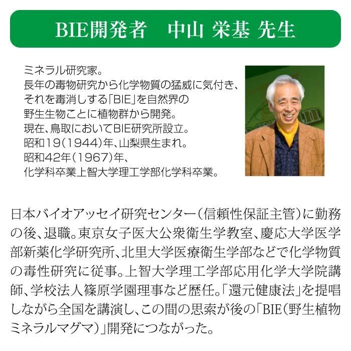 マグマンE50g（約165粒）BIE野生植物ミネラルマグマン｜タブレット