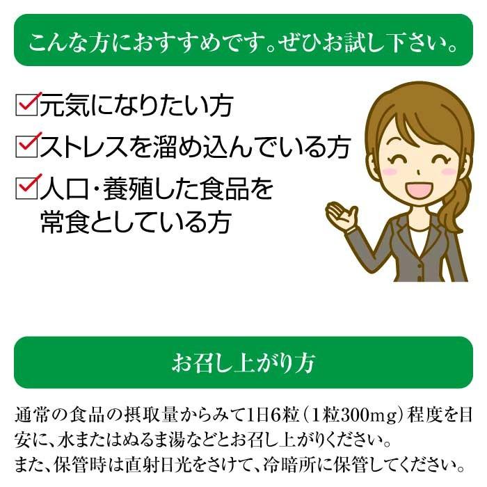 マグマンE50g（約165粒）BIE野生植物ミネラルマグマン｜タブレット