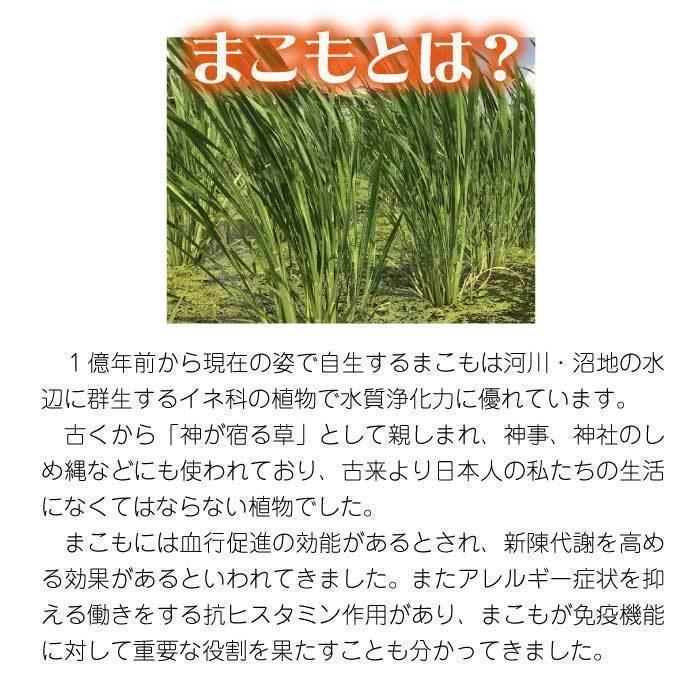 発酵 まこも湯 (100g×５セット)｜宮崎県産100%｜真菰｜国産マコモ｜無添加｜まこも風呂｜枯草菌｜浄化｜入浴剤｜宮崎県国富町育ちのサンマコモ |  | 04