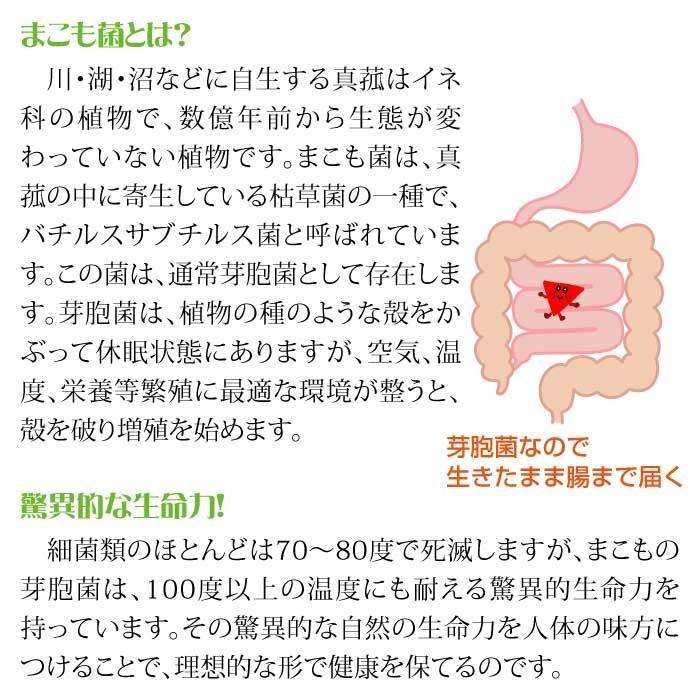 発酵まこも茶(75g)｜真菰茶｜国産マコモ茶｜無添加｜植物性健康茶｜宮崎県国富町育ちのサンマコモ【メール便】｜towabio｜10