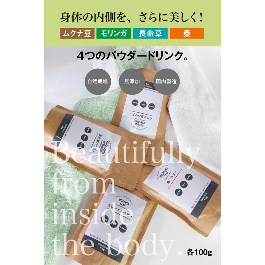 モリンガパウダー 100g 粉末｜自然栽培 / 無添加 国内製造｜福岡県