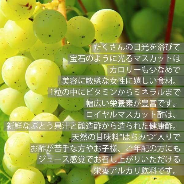 【保存料無添加】ロイヤルマスカット酢720ml×3本セット【はちみつ入り】【濃縮タイプ】【果実酢】【ぶどう酢】【フルーツ酢】【アルカリ飲料】の画像