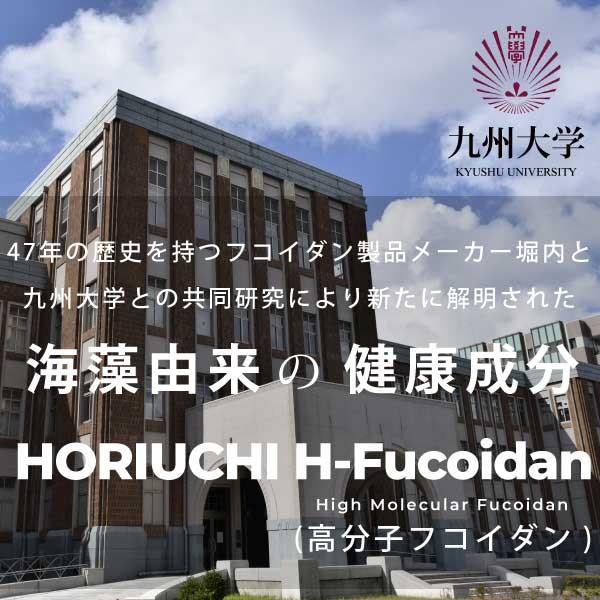 Nk Fucoidan ホリウチフコイダン Horiuchi H Fucoidan 96 チリ産ダービリアコンブ使用 高分子フコイダン Fucoidan Nk Fucoidan 東和バイオ 通販 Yahoo ショッピング