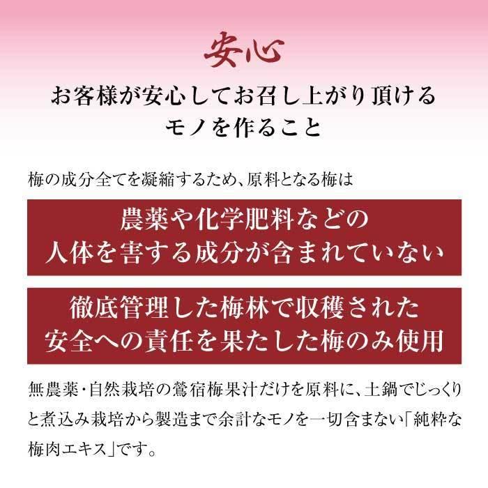 梅肉エキス 50g｜鶯宿梅（おうしゅくばい）｜自然栽培の梅｜梅エキス｜梅干｜スローフード｜無添加｜徳重紅梅園｜ミネラル豊富な万能濃縮エキス｜towabio｜07