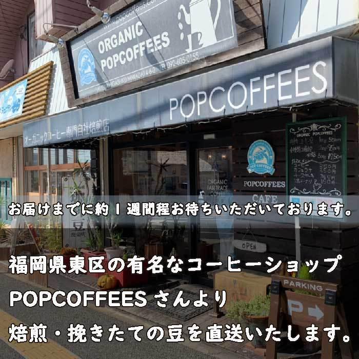 【POPCOFFEES】オーガニックインスタントコーヒー（80g）｜フリーズドライ｜有機JAS認証｜有機栽培コーヒー｜フェアトレード｜【キャンプや旅行のお供に】｜towabio｜08