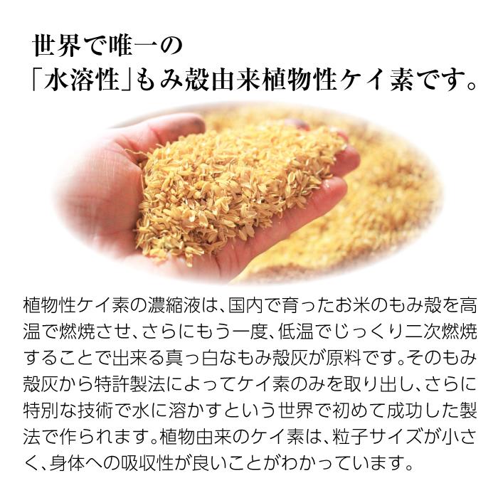 Rice Silica PREMIUM 500ml （ライスシリカプレミアム） ｜ 植物性