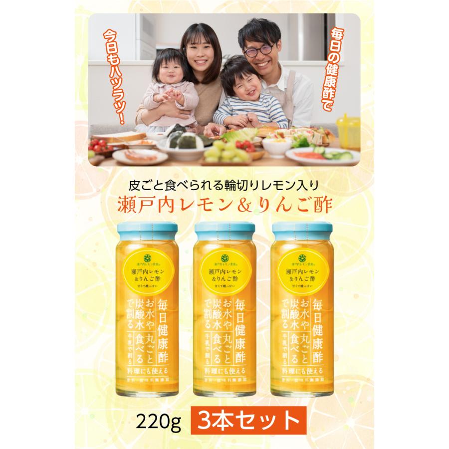 瀬戸内レモン＆りんご酢 220g×3本セット ｜ ワックス・防腐剤不使用