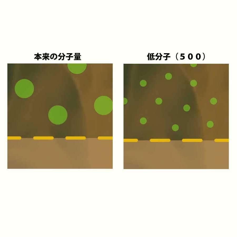 シーフコイダン ノーマルタイプ900mlx12本｜ホリウチフコイダン｜無添加トンガ産モズク・低分子化フコイダン（海藻ドリンク）｜ 低分子フコイダン fucoidan