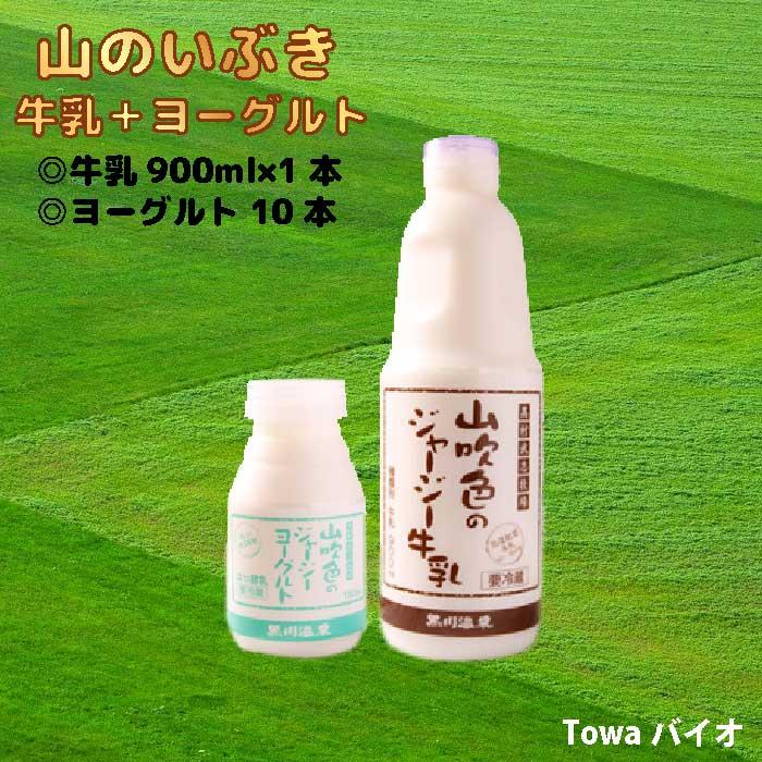 乾山のぐい飲み12こセット 乾山のぐい飲み12こセット 乾山の