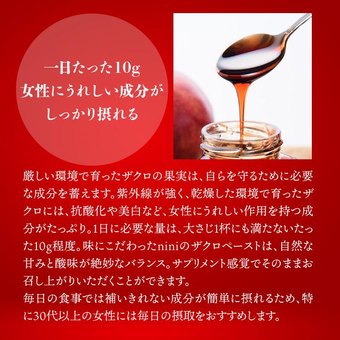 nini ザクロペースト(200g)|Pomegranate Paste|皮と種ごと nini ザクロペースト(200g)|Pomegranate Paste|皮と種ごと