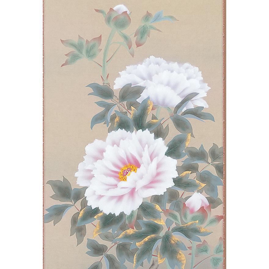 掛軸 日本の伝統と文化 掛軸 富貴花（祝） 松村朱夏作 尺五立 床の間