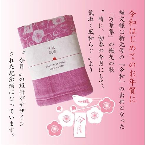 今治の手ぬぐいタオル 抜染手拭（竹縞）ピーコックブルー ガーゼ