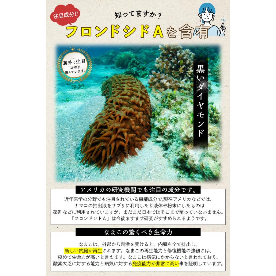 こななまこ なまこ ナマコ サプリ 北海道 青森 国産天然なまこ100% 無添加 粉なまこ アミノ酸 亜鉛 アルギニン コラーゲン フロンドシドA 植物性カプセル (120粒｜towards-store｜06