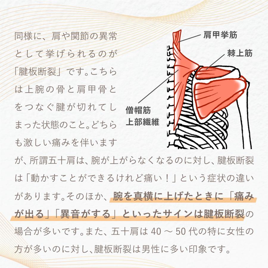 トワテック 【2台セット】鍼電極低周波治療器 PULSMA8s（パルスマ8s