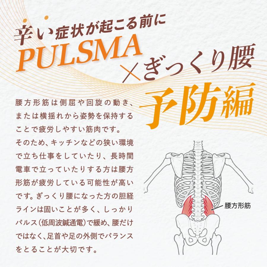 トワテック 【2台セット】鍼電極低周波治療器 PULSMA8s