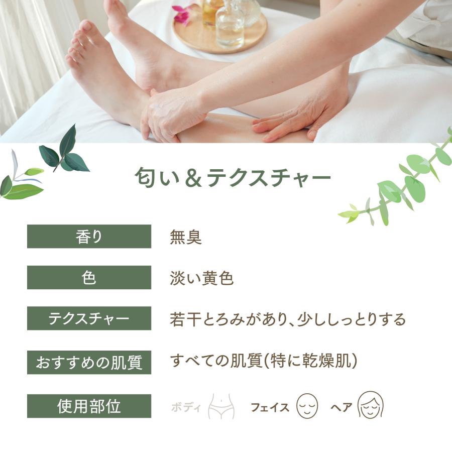 【12L】オリーブオイル 1000mL×12本（ケース販売）【天然100％・精製】アプレミディ マッサージオイル キャリアオイル 大容量 業務用 送料無料の画像