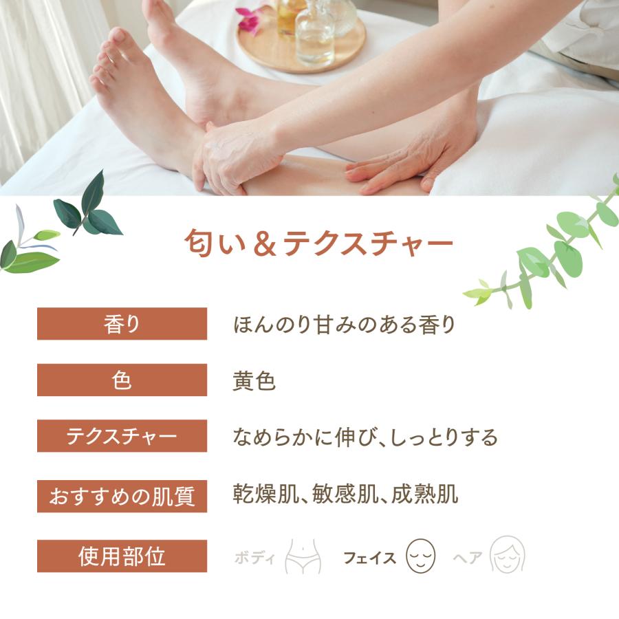 【6L】アプリコットカーネルオイル 1000mL×6本（ハーフケース販売）【天然100％・未精製】アプレミディ あんず油 杏仁オイル キャリアオイル 大容量 送料無料の画像