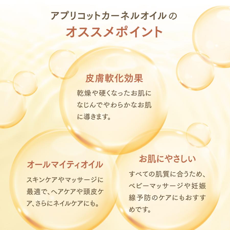 【6L】アプリコットカーネルオイル 1000mL×6本（ハーフケース販売）【天然100％・未精製】アプレミディ あんず油 杏仁オイル キャリアオイル 大容量 送料無料の画像