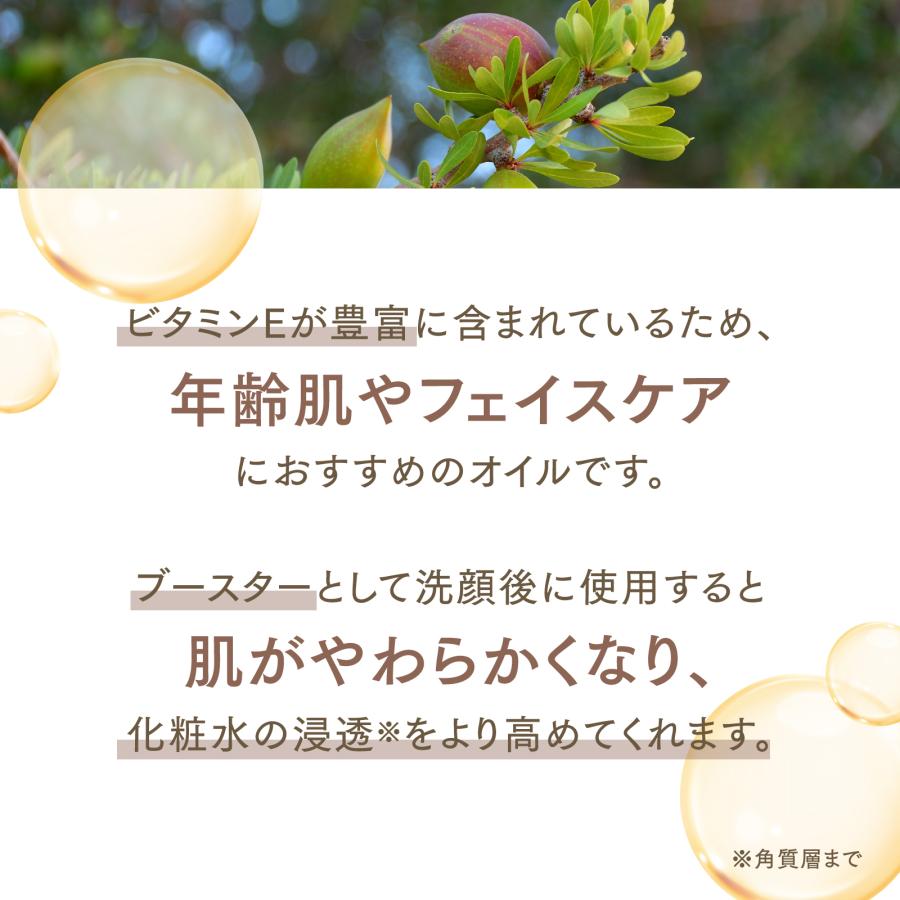 【2本セット】アルガンオイル 300mL 【天然100％・未精製】アプレミディ アルガニアスピノサ核油 モロッコ マッサージオイル キャリアオイル 大容量 送料無料の画像