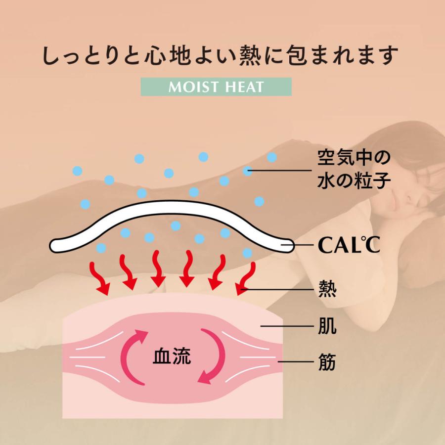 トワテック 湿熱性ホットパック CAL℃（カルド） Sサイズ 背中 肩 腰