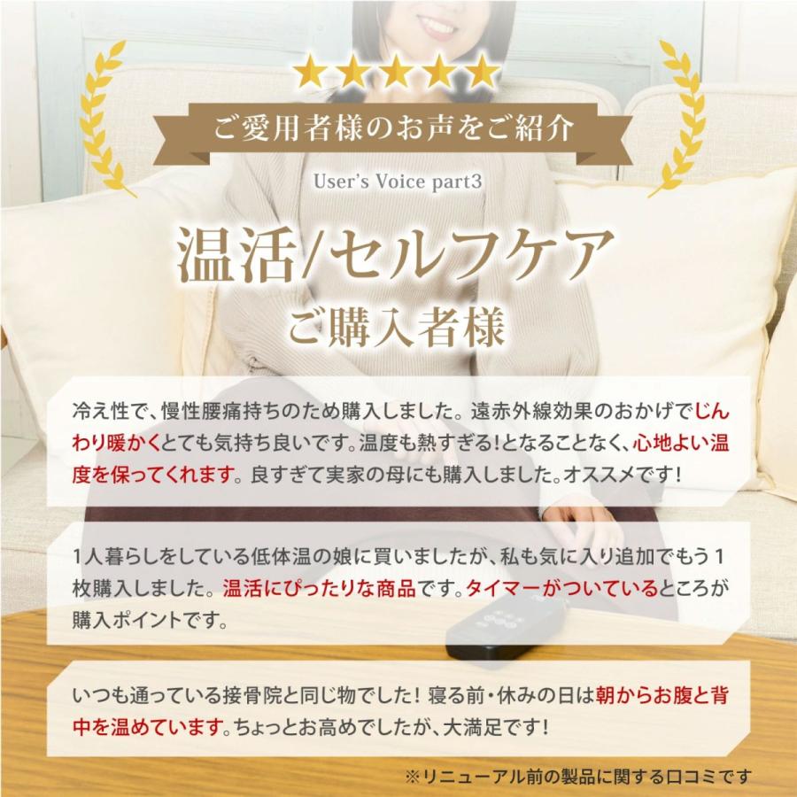 トワテック 湿熱性ホットパック CAL℃（カルド） Sサイズ 背中 肩 腰