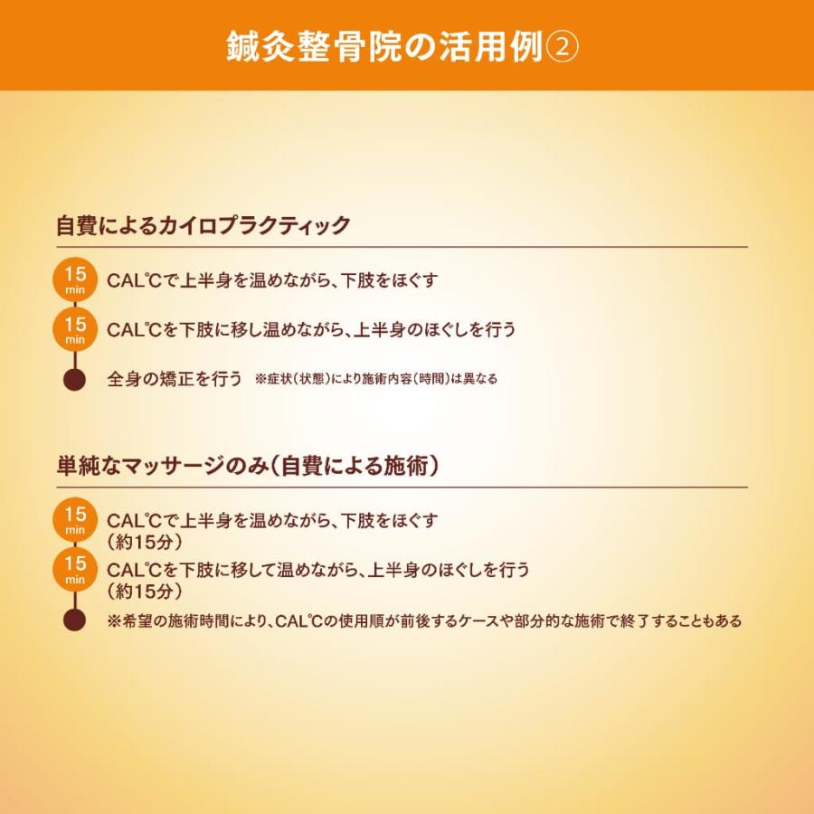 トワテック 湿熱性ホットパック CAL℃ L-Light （カルドライト） 背中