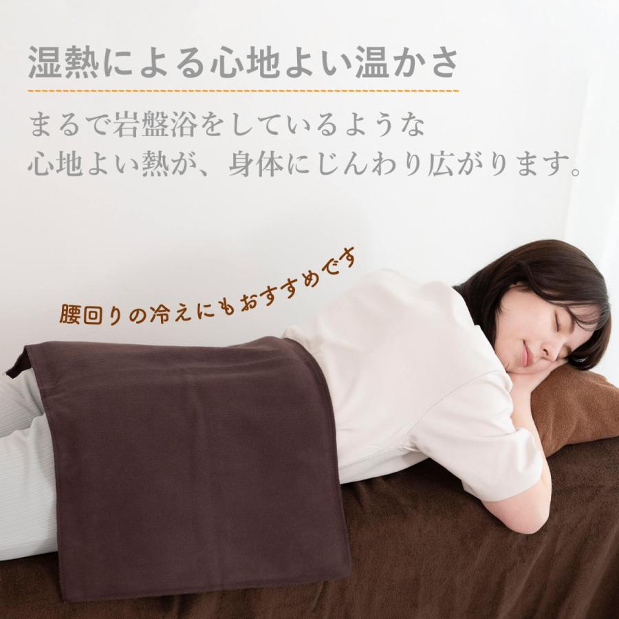 トワテック 湿熱性ホットパック CAL℃ L-Light （カルドライト） 背中