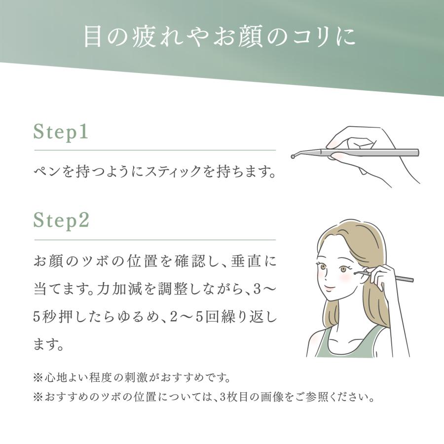 トワテック TEISIN ポインター（大）先曲型 経絡ペン 刺さない