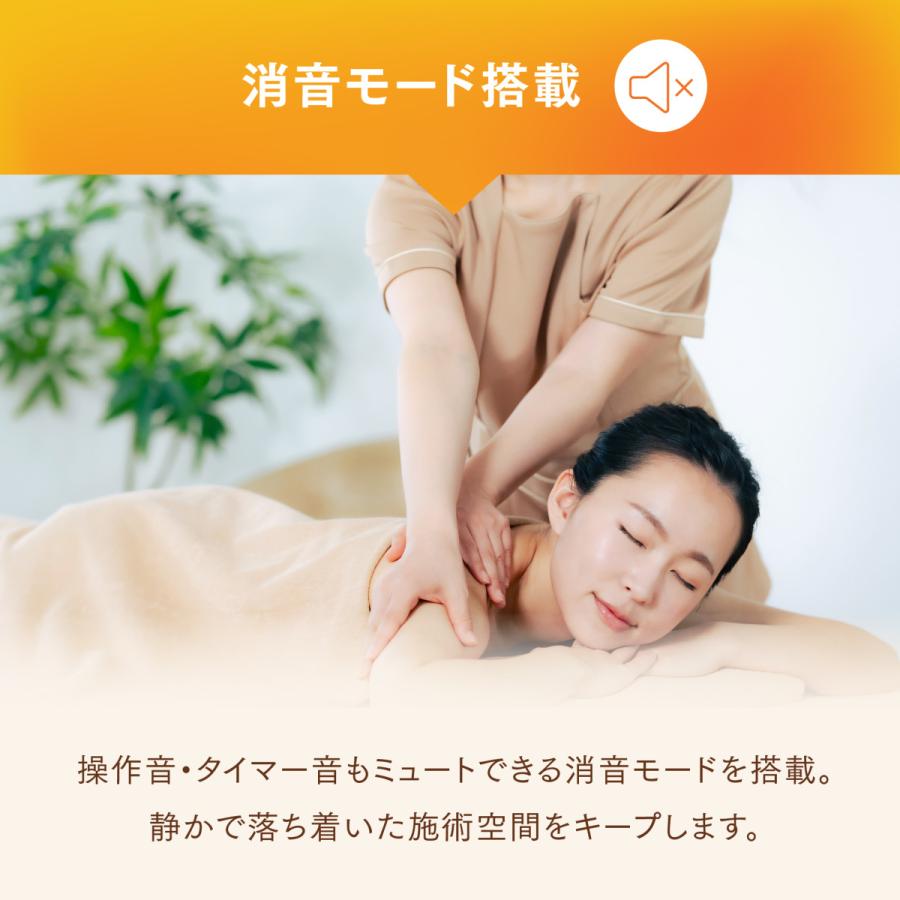 トワテック 【有孔】TWヒートマット ベッド 消音モード付き エステ