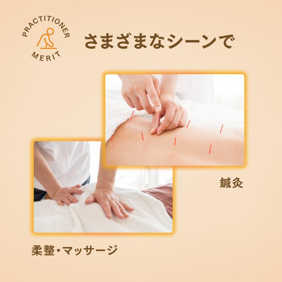 ヒートマット　マッサージベッド用 タイマー機能付き ヒートマット2 レギュラー (有孔) ベッド用の通販